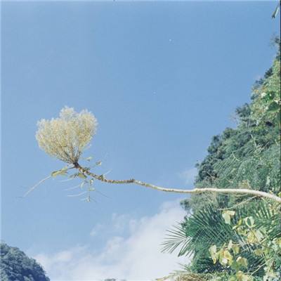 域网棋牌游戏app下载