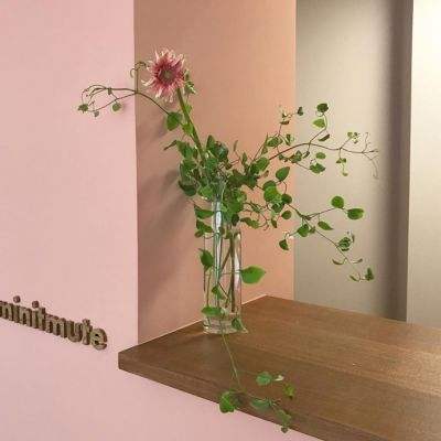 威斯尼斯wns888入口app